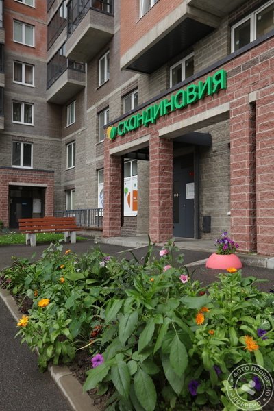 Медицинский центр Скандинавия Отделение Парнас на улице Валерия Гаврилина - фото 3