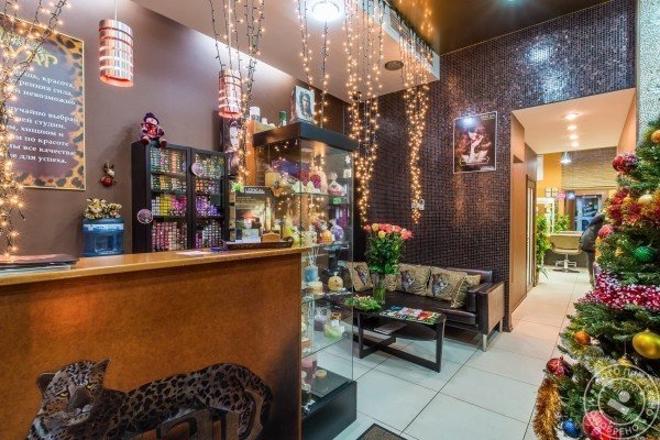 Ягуар - фото 3