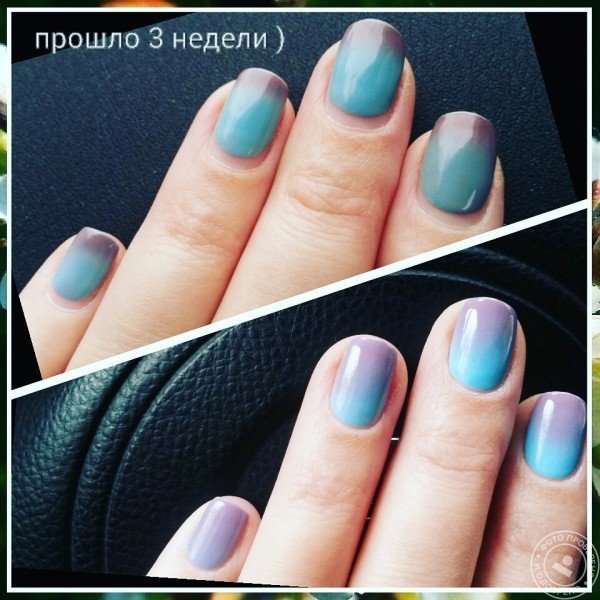 Студия Лены Васильевой - фото 1