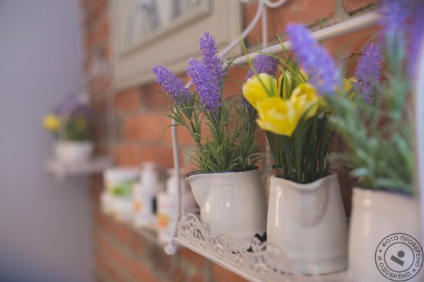 Студия красоты The Garden - фото 7