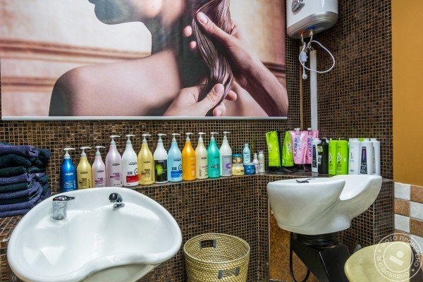 Ягуар - фото 7