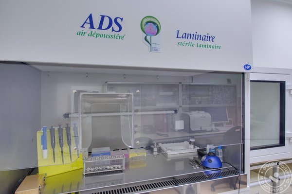 Медицинский центр К+31 «Петровские ворота» - фото 4