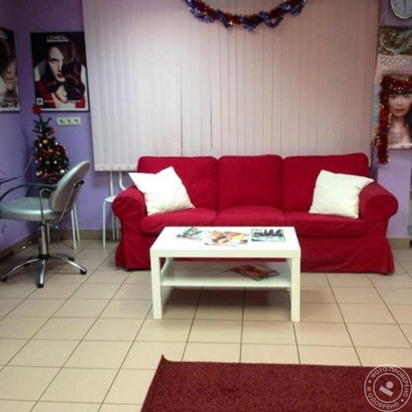 Вионика - фото 1