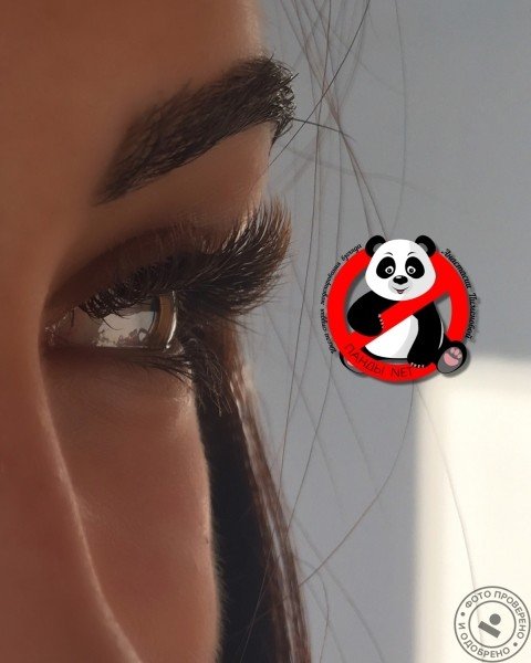 Школа-студия моделирования взгляда «Панды Net» - фото 6