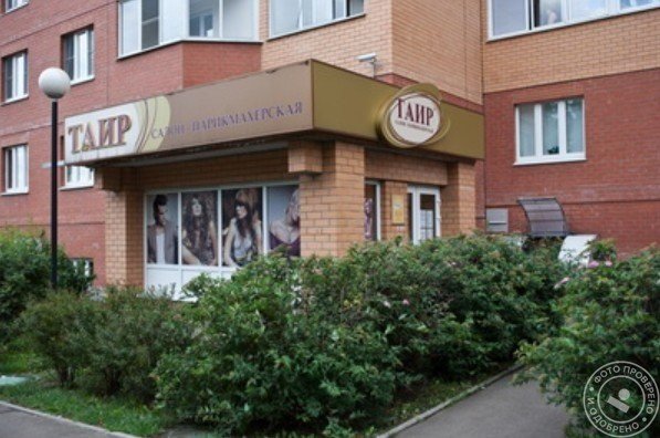 Таир - фото 4