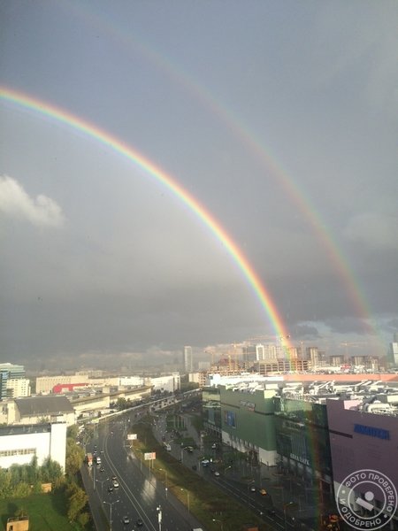 Тестовая Организация Красота - фото 2