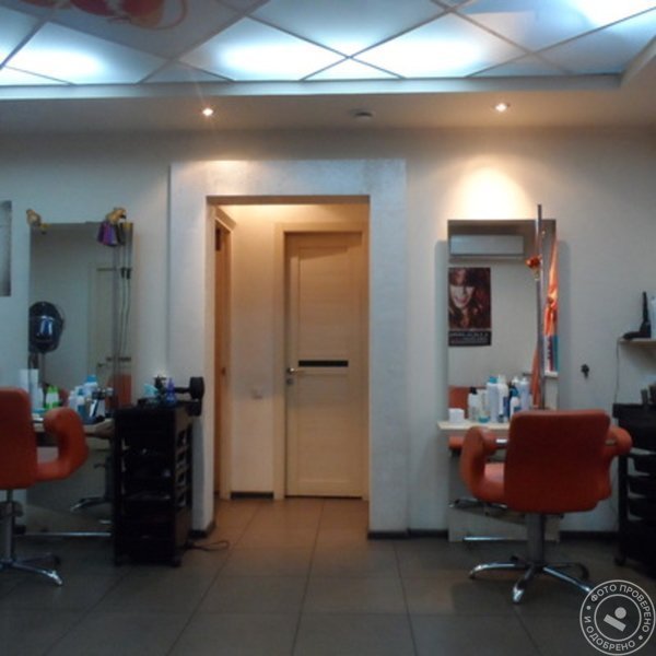 Мандаринки - фото 1