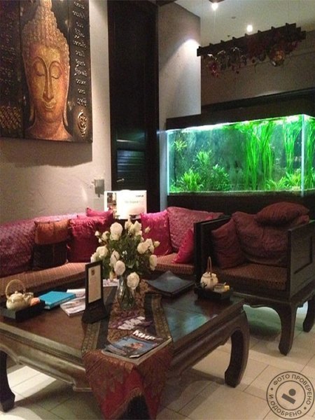 SPA студия «Орхидея» на Смоленском бульваре - фото 1