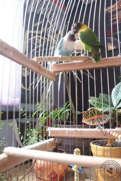 Мастерская красоты ConAlma - фото 9