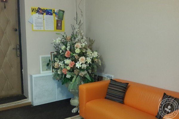 Природа Красоты - фото 5