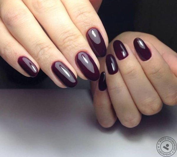 Салон красоты «Стиль Био» - фото 3