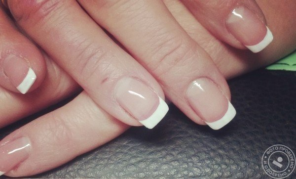 Студия Лены Васильевой - фото 2