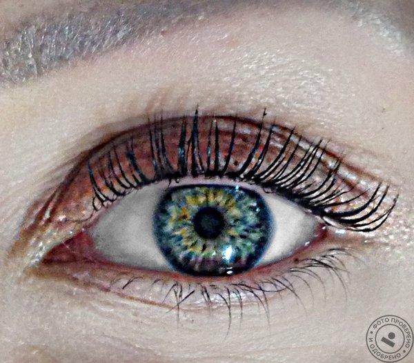 Studios-Beauty - фото 7