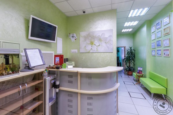 Стоматология 