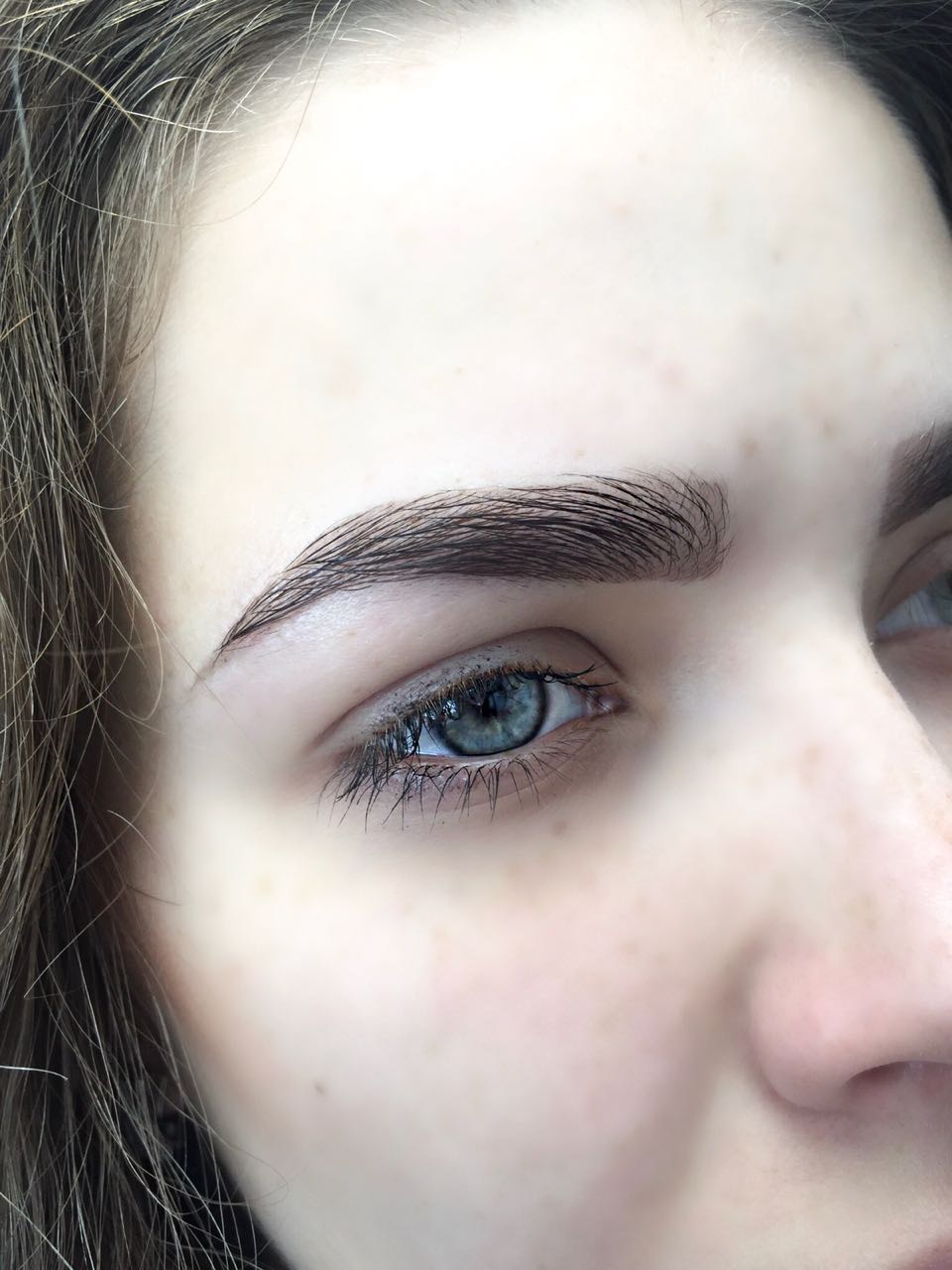 PROBROVIRESNICI - фото 2