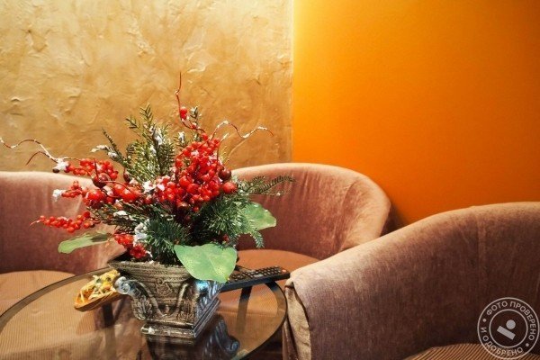 Ля Виолетте - фото 4