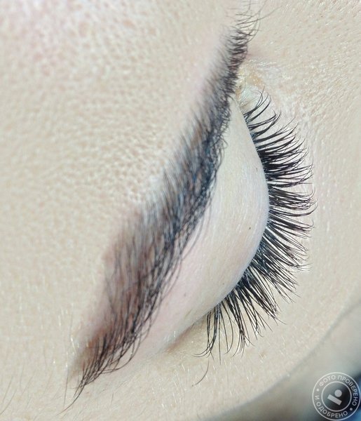 Studios-Beauty - фото 10