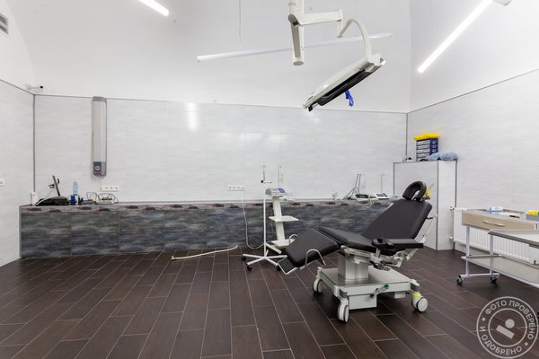 Стоматологическая клиника Столица - фото 6