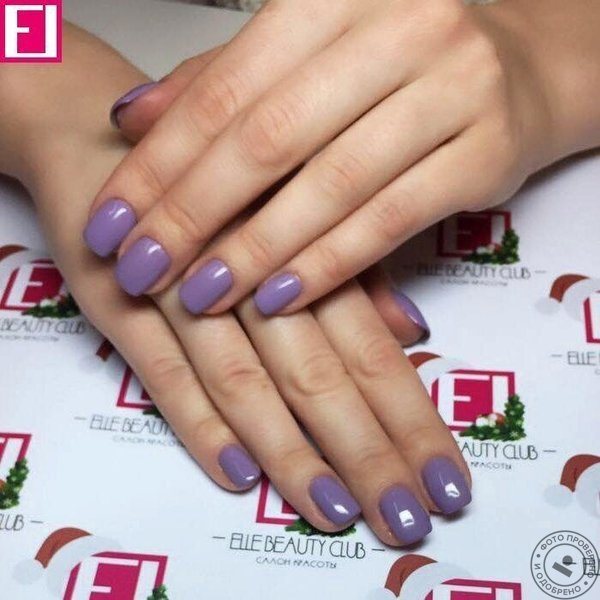 Салон красоты Elle Beauty Club - фото 4