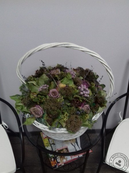 Массажно-оздоровительный центр «Иль де Прованс» - фото 3